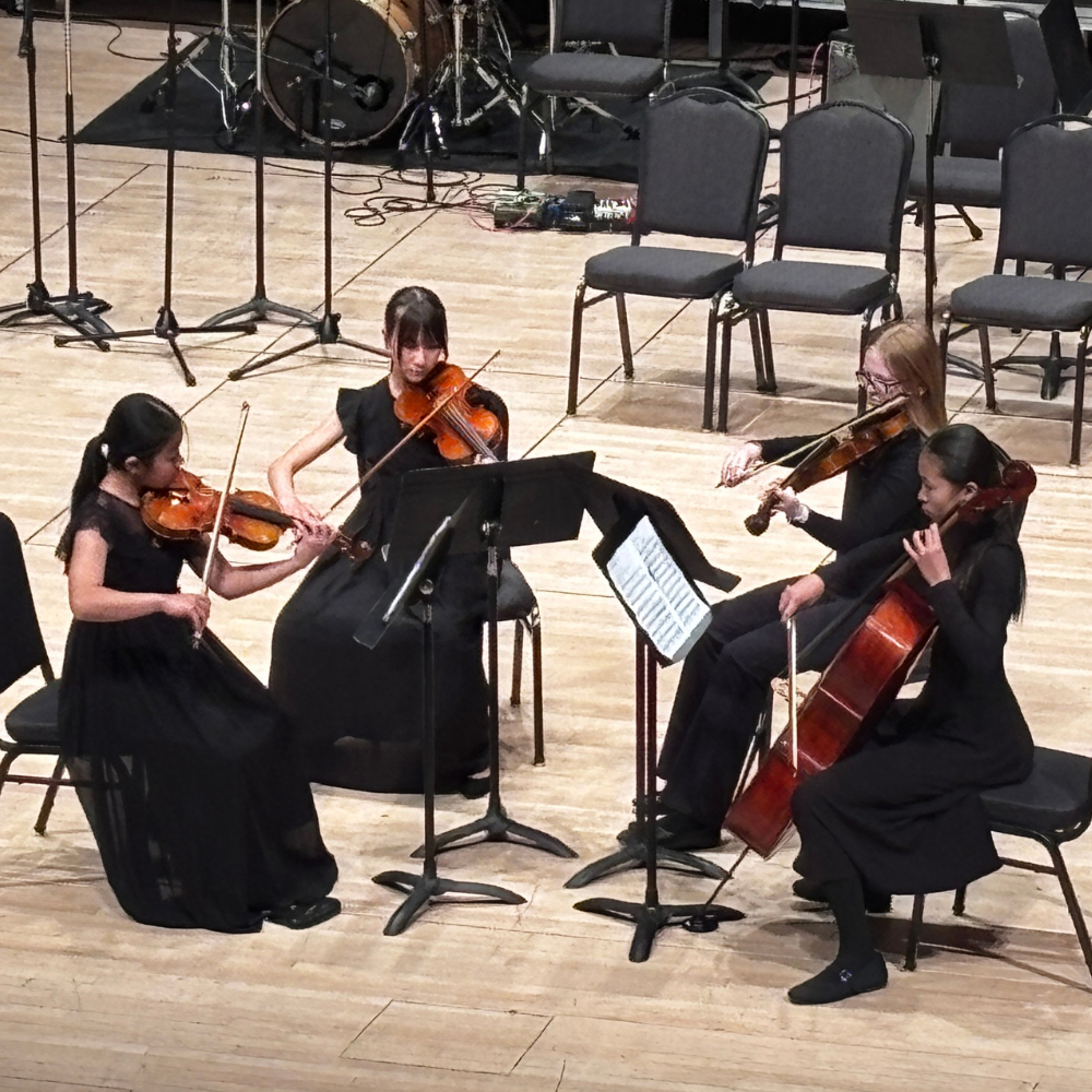 Equinox String Quartet