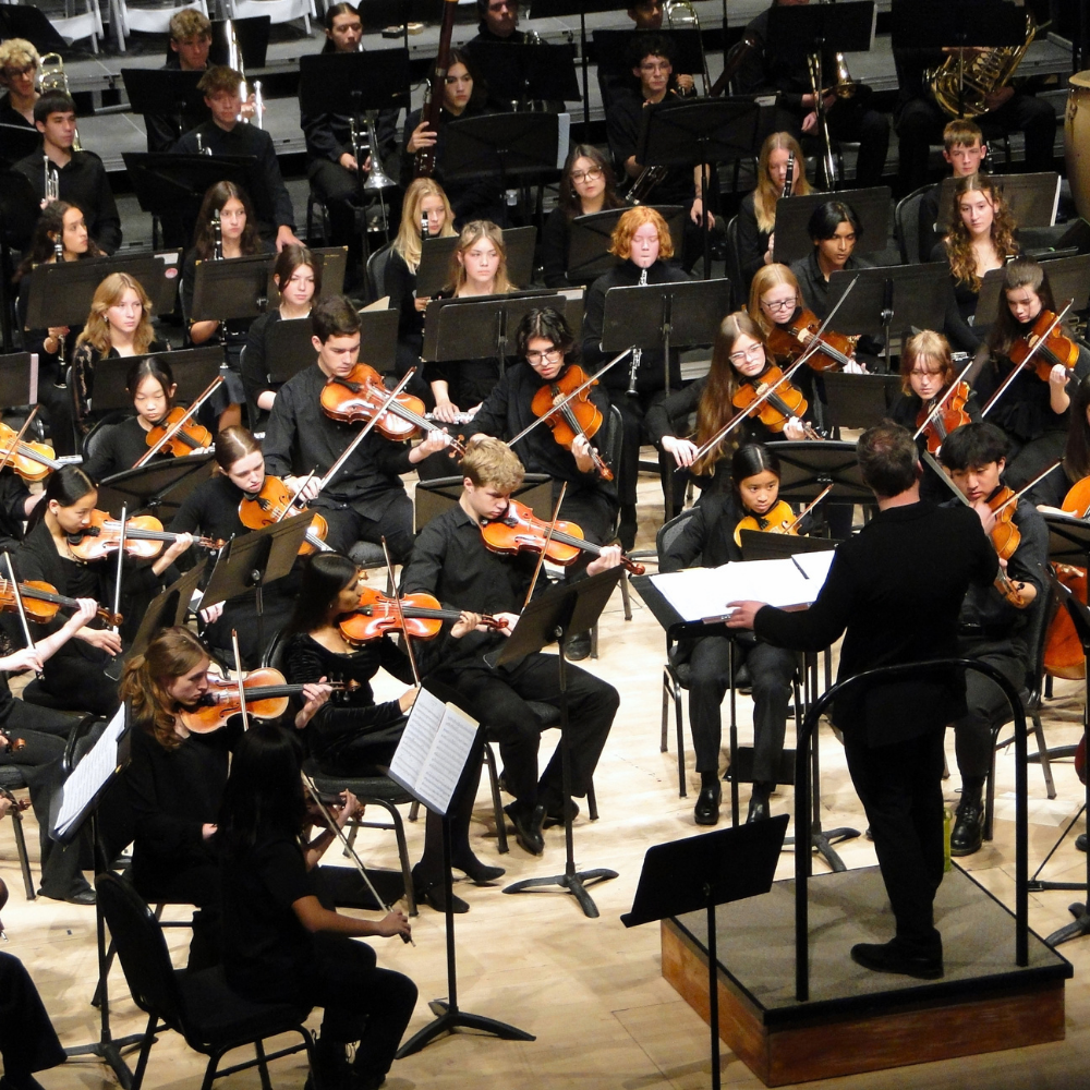 Nov. 15 Youth Symphony