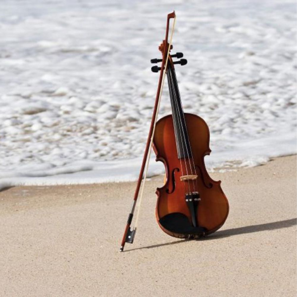 Spring Break Spring Break